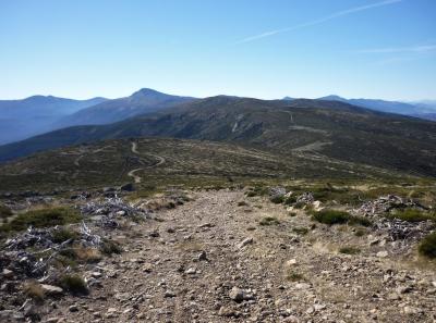 Transcarpetana Cordal