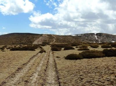 Transcarpetana por Navafría